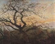 Caspar David Friedrich Tree with crows oil painting